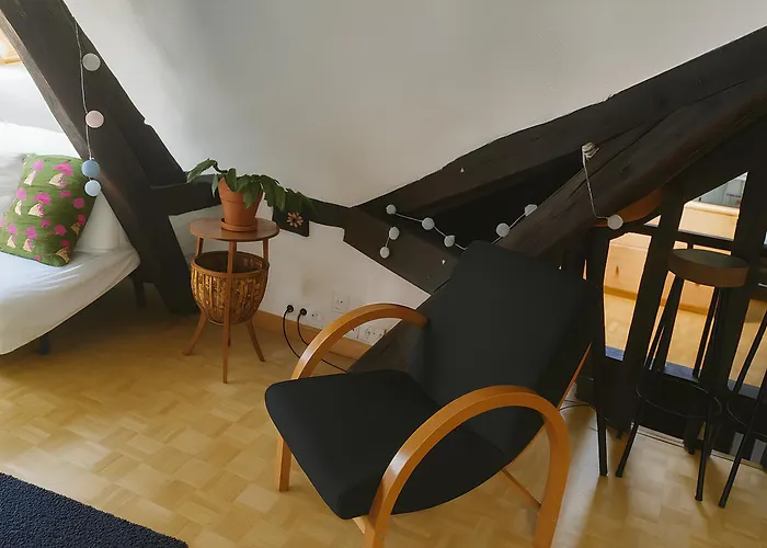 Buffon Menage Et Linges Inclus *